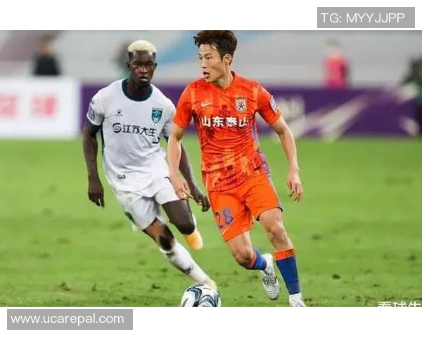 北京羽毛球队战术变革引发热议新策略助力球队提升竞技水平